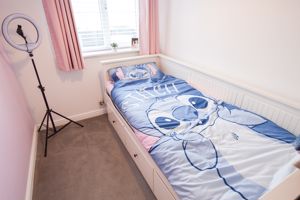 Photo 12- click for photo gallery